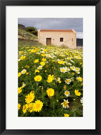 Framed Wildflowers and church of St, Island of Spinalonga, Crete, Greece Print