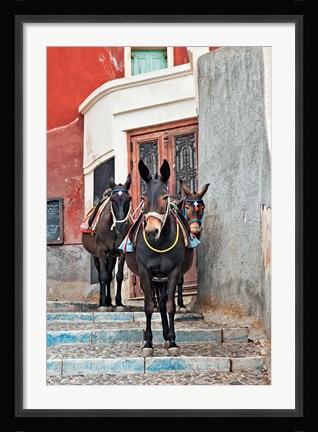 Framed Mules, Imerovigli, Santorini, Greece Print