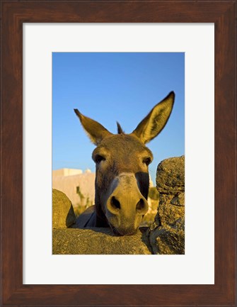 Framed Greece, Mykonos, Hora, Donkey and Stone Fence Print