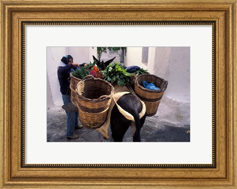 Framed Pack Mule at Market, Santorini, Greece Print