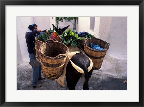Framed Pack Mule at Market, Santorini, Greece Print