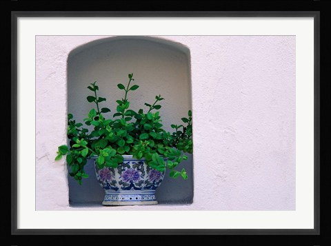Framed Alcove Plant, Santorini, Greece Print