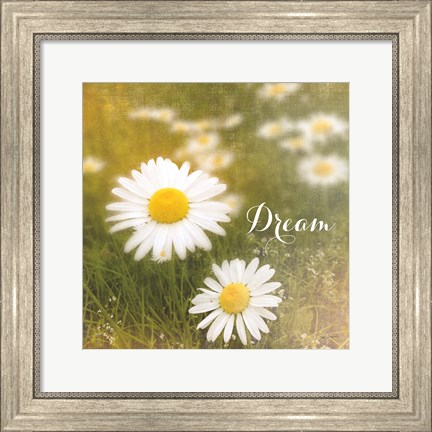 Framed Daisy Dreams Print