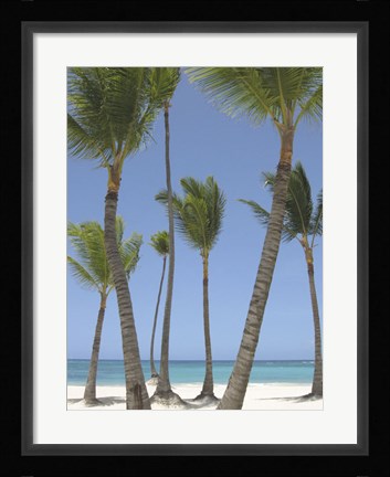 Framed Gran Bavarro I Print