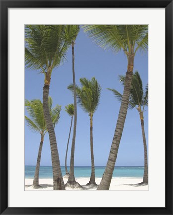 Framed Gran Bavarro I Print