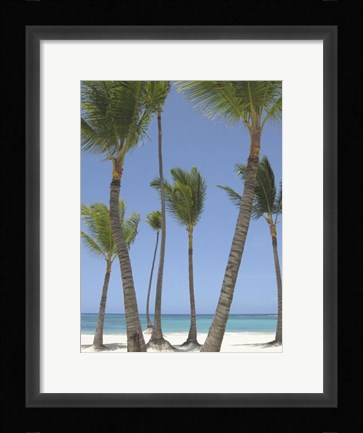 Framed Gran Bavarro I Print