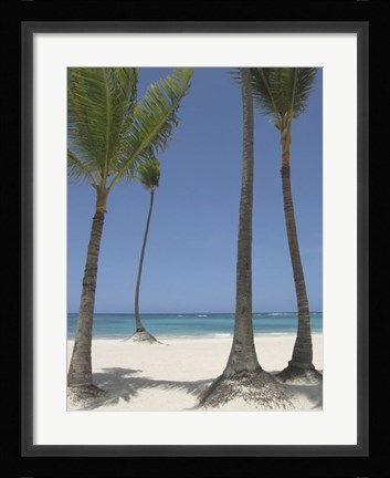 Framed Gran Bavarro II Print