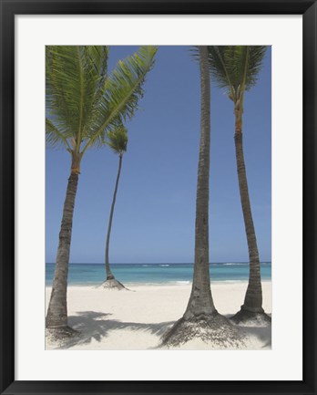 Framed Gran Bavarro II Print