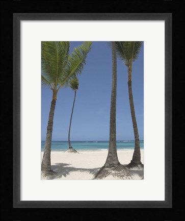 Framed Gran Bavarro II Print