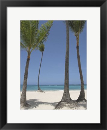 Framed Gran Bavarro II Print