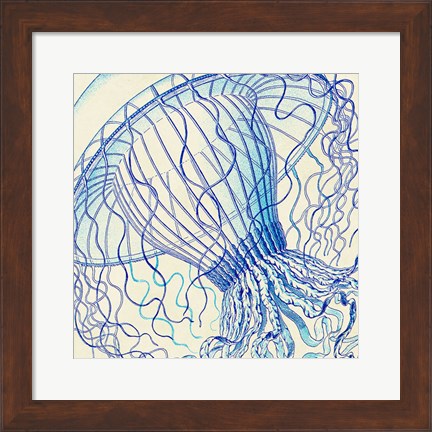 Framed Vintage Jellyfish II Print