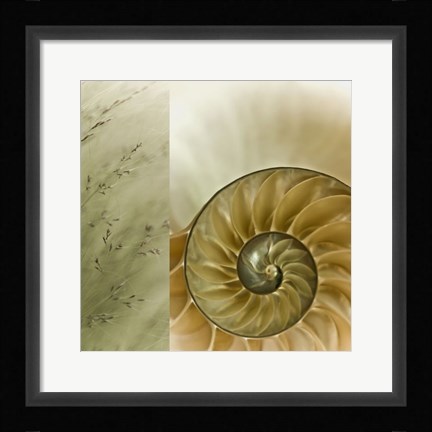 Framed Kaleidoscope Of Memories II Print