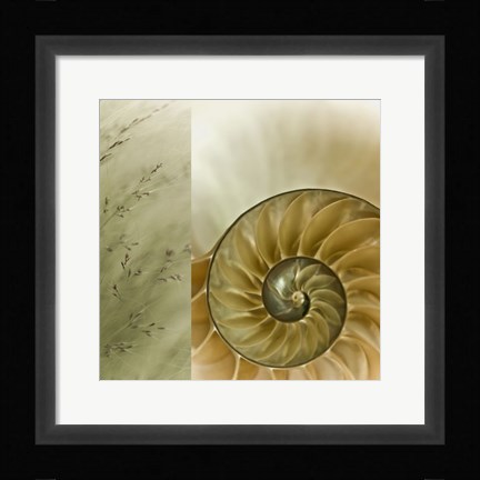 Framed Kaleidoscope Of Memories II Print