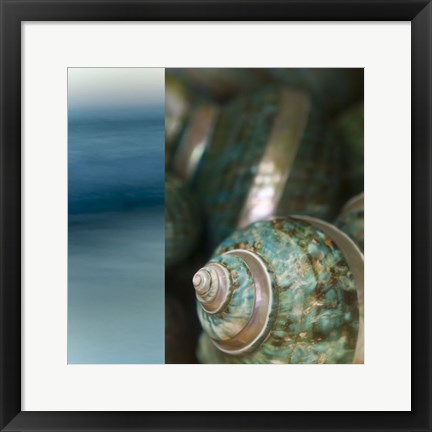 Framed Serenity Shores II Print