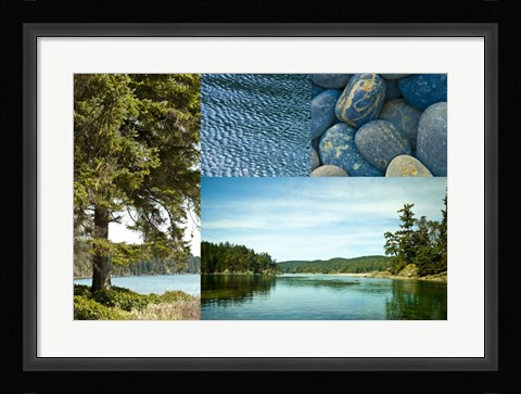 Framed Edge Of The Forest II Print