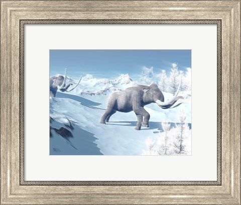 Framed Mammoths Walking Slowly on the Snowy Mountain Against the Wind Print