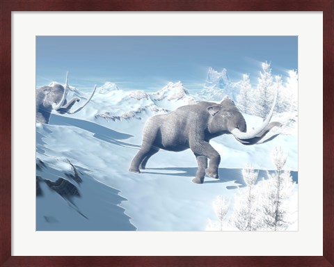 Framed Mammoths Walking Slowly on the Snowy Mountain Against the Wind Print