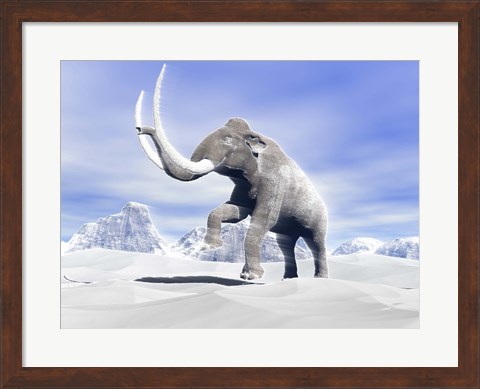 Framed Large Mammoth Walking Slowly on the Snowy Mountain Print