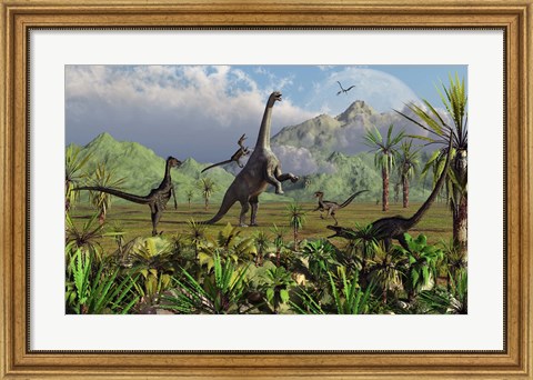 Framed Velociraptor Dinosaurs Attack a Camarasaurus Print