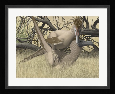 Framed Two Velociraptor's during MatingSseason Print
