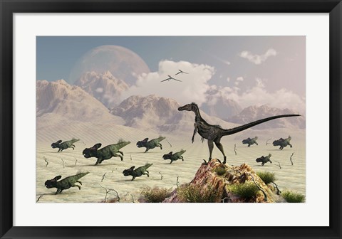 Framed Protoceratops stampede in fear as a Velociraptor Watches Print