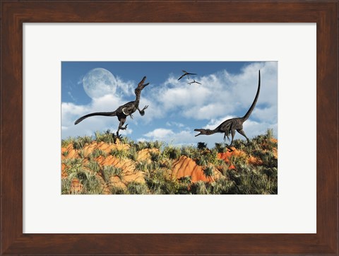 Framed Velociraptors involved in a Territorial Dispute Print