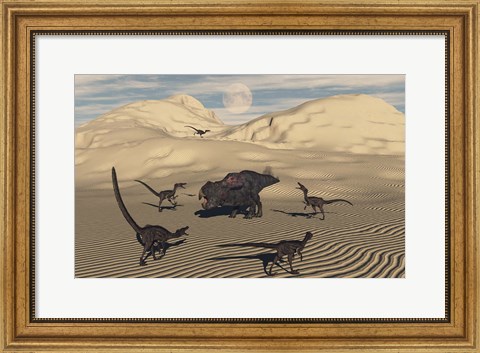 Framed Velociraptors Encircling a  Protoceratops Print