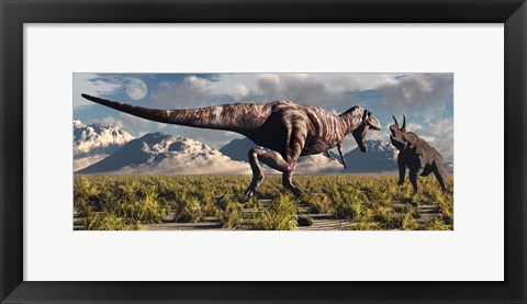 Framed T- Rex and Triceratops meet for a Battle 3 Print