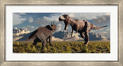 Framed T- Rex and Triceratops meet for a Battle 4 Print