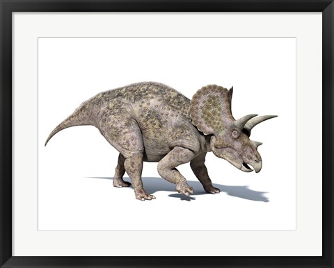 Framed 3D rendering of a Triceratops Dinosaur Print