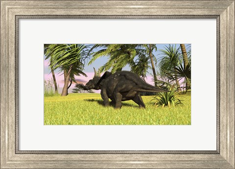 Framed Triceratops Dinosaur 10 Print