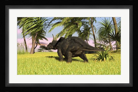 Framed Triceratops Dinosaur 10 Print