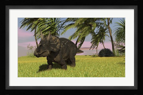 Framed Triceratops Dinosaur 11 Print