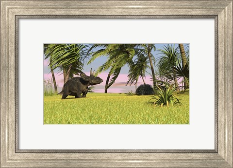 Framed Triceratops Dinosaur 9 Print