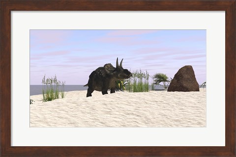 Framed Triceratops on a Beach Print