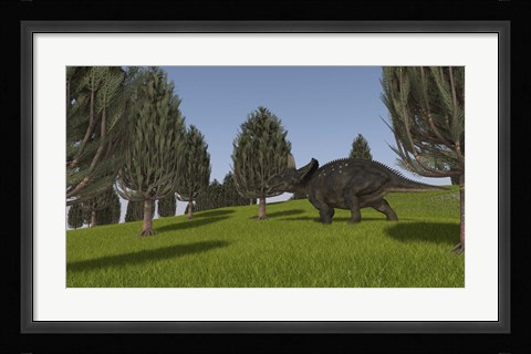 Framed Triceratops Walking across a Grassy Field 2 Print