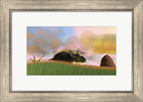 Framed Triceratops Walking across a Grassy Field 3 Print