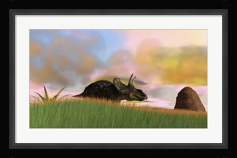 Framed Triceratops Walking across a Grassy Field 3 Print