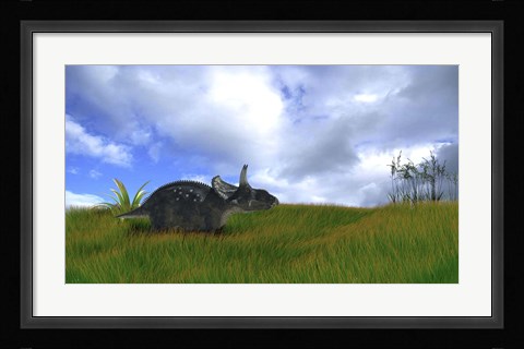 Framed Triceratops Walking across Prehistoric Grasslands Print
