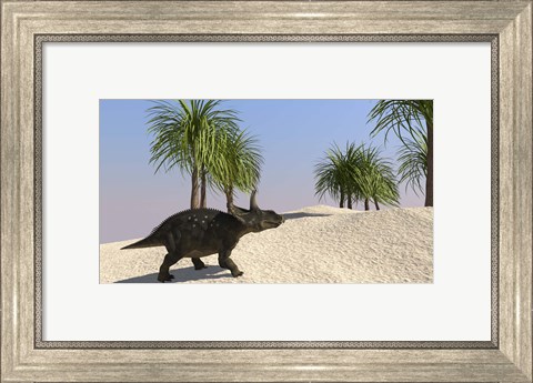 Framed Triceratops Walking in a Tropical Environment 3 Print