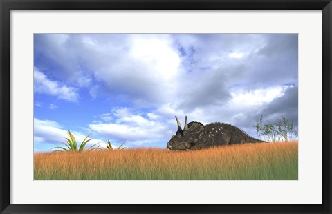 Framed Triceratops Walking through Tall Grass Print