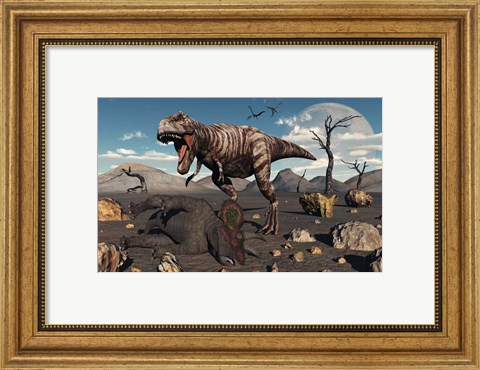 Framed T Rex is about to make a Meal of a Dead Triceratops Print