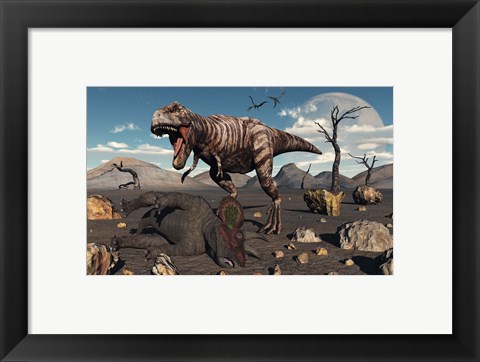 Framed T Rex is about to make a Meal of a Dead Triceratops Print
