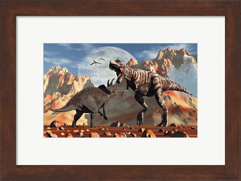 Framed T- Rex and Triceratops meet for a Battle 2 Print