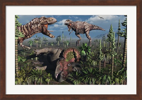 Framed Two T Rex dinosaurs confront each other over a dead Triceratops Print