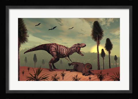 Framed Triceratops falls victim to Tyrannosaurus Rex Print
