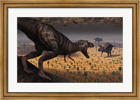 Framed Tyrannosaurus Rex spots two Passing Triceratops Print