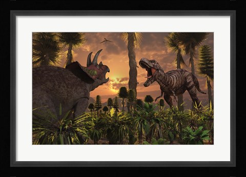 Framed T- Rex and Triceratops meet for a Battle 1 Print