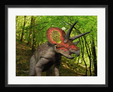 Framed Colorful Triceratops Wanders a Cretaceous Forest Print