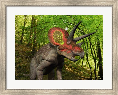 Framed Colorful Triceratops Wanders a Cretaceous Forest Print